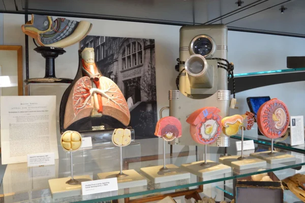 Museum Mooch: Medical History at Ninewells
